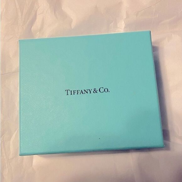 Tiffany & Co. Pebble Oval Link Chain Necklace​ - Picture 9 of 9